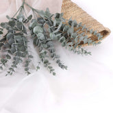 Frosted Eucalyptus Bush in Green 38cmH